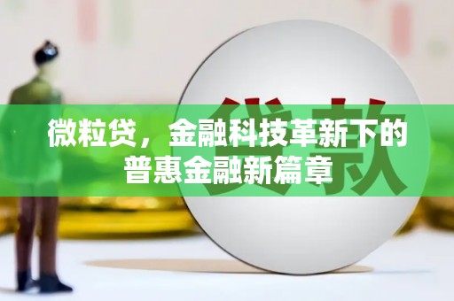 福兴微粒贷，金融科技革新下的普惠金融新篇章