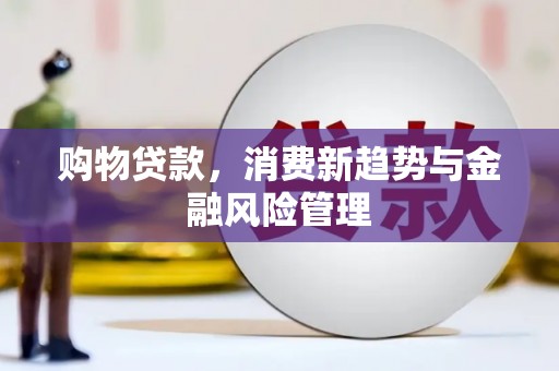 福兴购物贷款，消费新趋势与金融风险管理