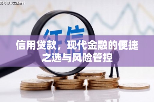 福兴信用贷款，现代金融的便捷之选与风险管控