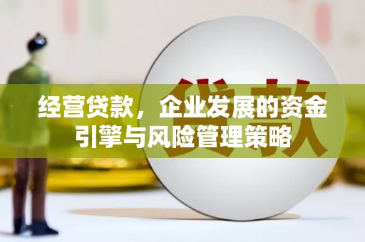 福兴经营贷款，企业发展的资金引擎与风险管理策略