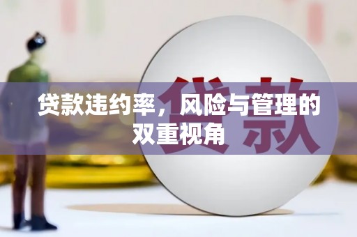 福兴贷款违约率，风险与管理的双重视角