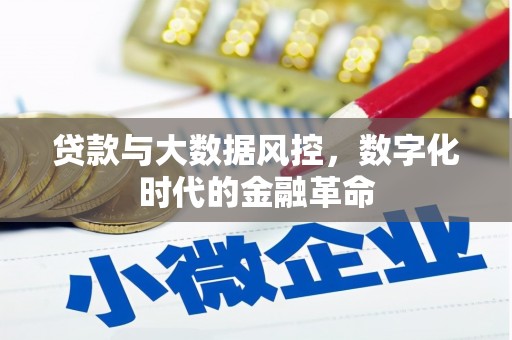 福兴贷款与大数据风控，数字化时代的金融革命