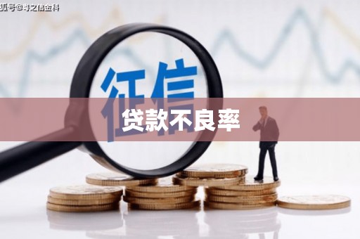 福兴贷款不良率