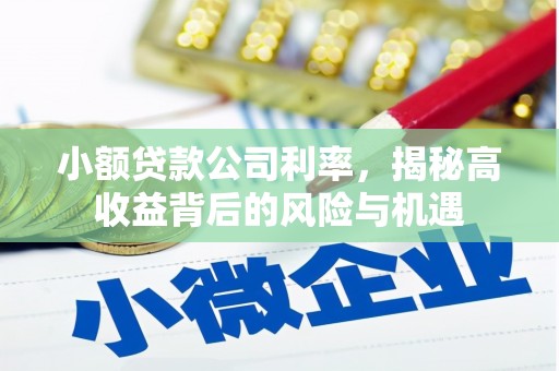 福兴小额贷款公司利率，揭秘高收益背后的风险与机遇