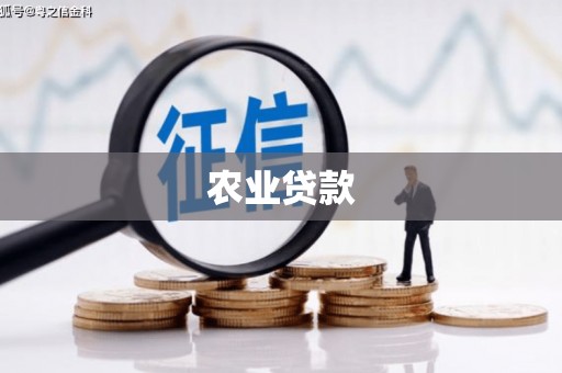 福兴农业贷款
