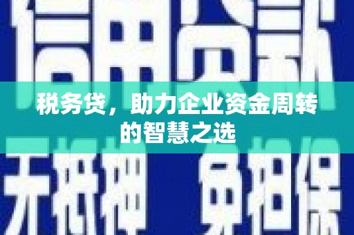 福兴税务贷，助力企业资金周转的智慧之选