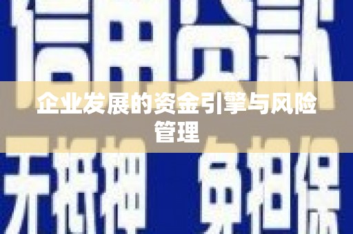 福兴企业发展的资金引擎与风险管理