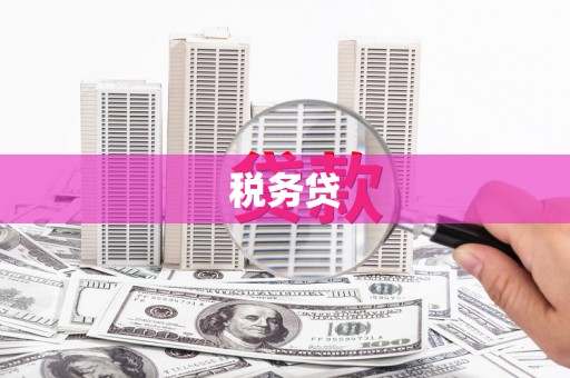 福兴税务贷