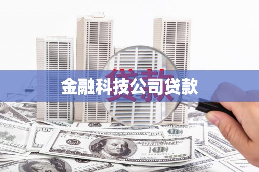 福兴金融科技公司贷款
