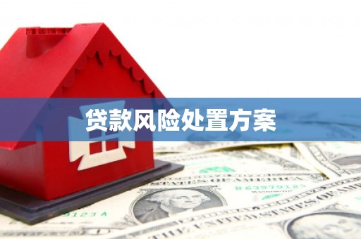福兴贷款风险处置方案