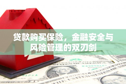 福兴贷款购买保险，金融安全与风险管理的双刃剑