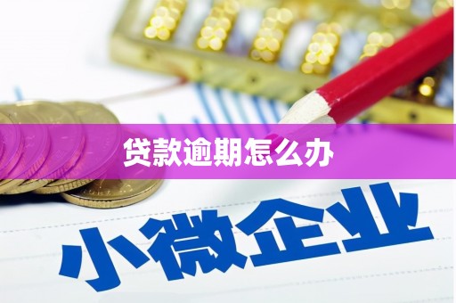 福兴贷款逾期怎么办