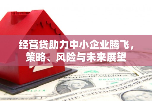 福兴经营贷助力中小企业腾飞，策略、风险与未来展望