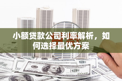 福兴小额贷款公司利率解析，如何选择最优方案