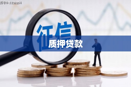 福兴质押贷款