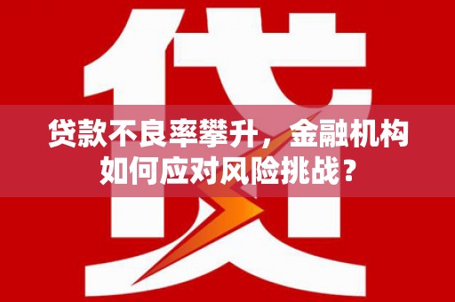 福兴贷款不良率攀升，金融机构如何应对风险挑战？