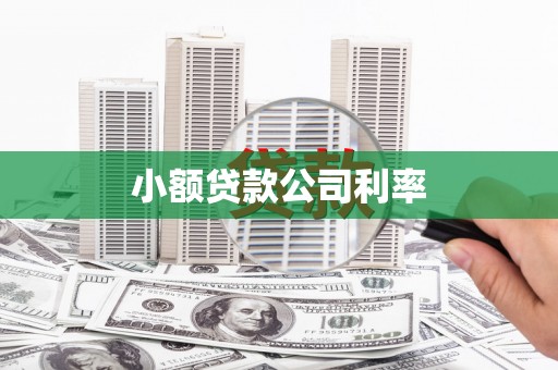 福兴小额贷款公司利率