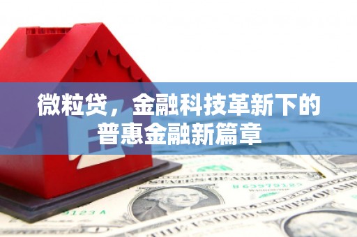 福兴微粒贷，金融科技革新下的普惠金融新篇章
