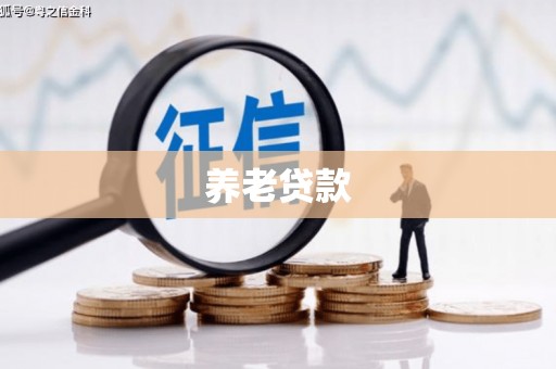 福兴养老贷款