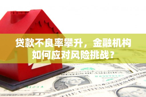 福兴贷款不良率攀升，金融机构如何应对风险挑战？