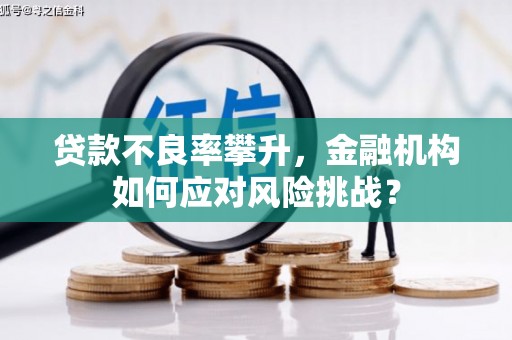 福兴贷款不良率攀升，金融机构如何应对风险挑战？