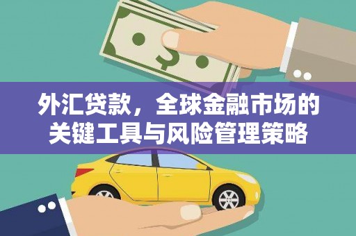 福兴外汇贷款，全球金融市场的关键工具与风险管理策略