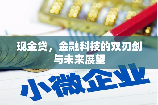 福兴现金贷，金融科技的双刃剑与未来展望