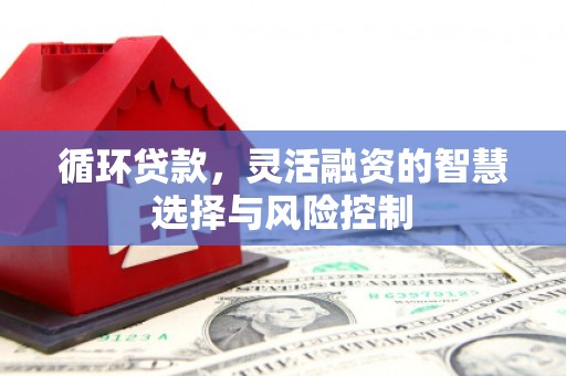 福兴循环贷款，灵活融资的智慧选择与风险控制