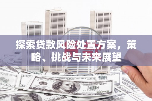 福兴探索贷款风险处置方案，策略、挑战与未来展望