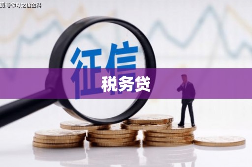 福兴税务贷