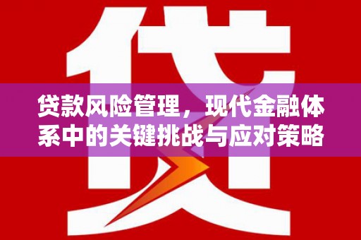 福兴贷款风险管理，现代金融体系中的关键挑战与应对策略