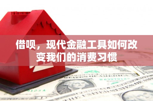 福兴借呗，现代金融工具如何改变我们的消费习惯