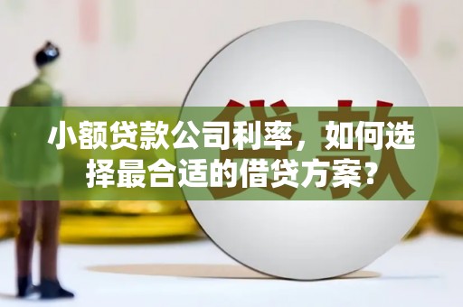 福兴小额贷款公司利率，如何选择最合适的借贷方案？