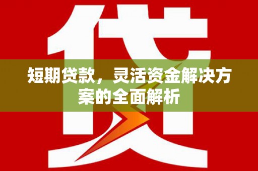 福兴短期贷款，灵活资金解决方案的全面解析