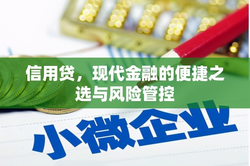 福兴信用贷，现代金融的便捷之选与风险管控