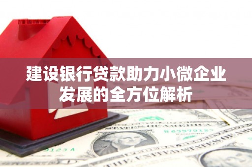 福兴建设银行贷款助力小微企业发展的全方位解析