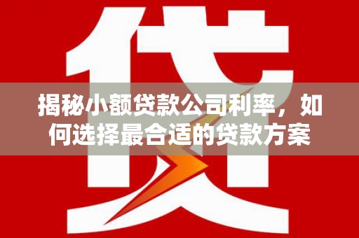 福兴揭秘小额贷款公司利率，如何选择最合适的贷款方案