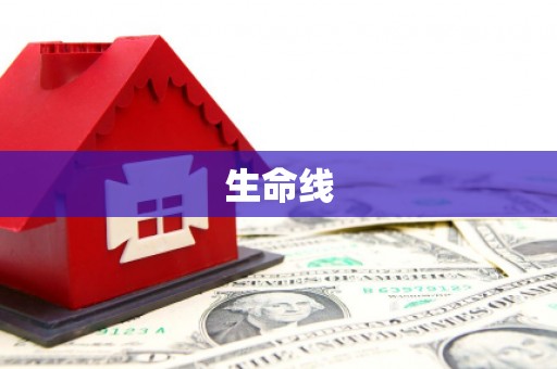 福兴生命线