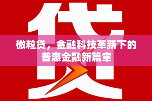 福兴微粒贷，金融科技革新下的普惠金融新篇章