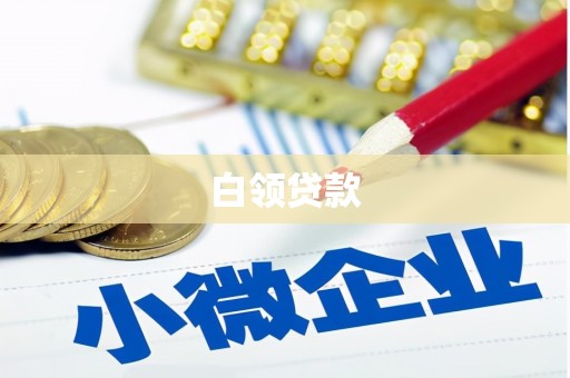 福兴白领贷款