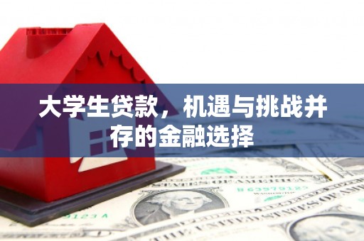 福兴大学生贷款，机遇与挑战并存的金融选择