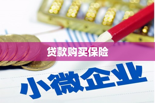 福兴贷款购买保险