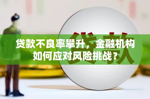 福兴贷款不良率攀升，金融机构如何应对风险挑战？