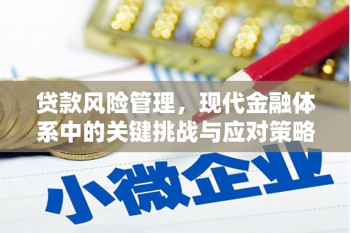 福兴贷款风险管理，现代金融体系中的关键挑战与应对策略