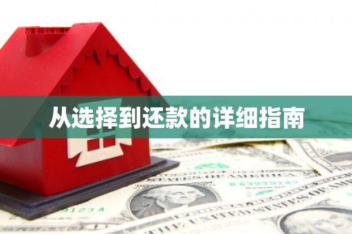福兴从选择到还款的详细指南